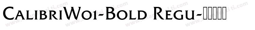 CalibriW01-Bold Regu字体转换
